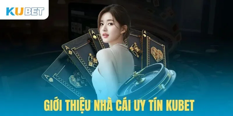 Một vài thông tin cơ bản khi giới thiệu Kubet.